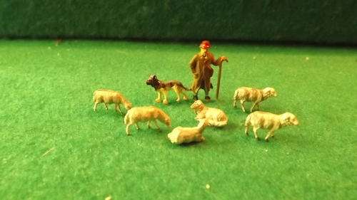 HO PEOPLE, shepard herding his sheep