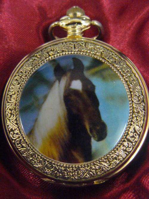 GOLDEN MANE STYLE 1970,S COLLECTABLE QUARTZ POCKET WATCH