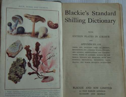 Blackie`s Standard Shilling Dictionary