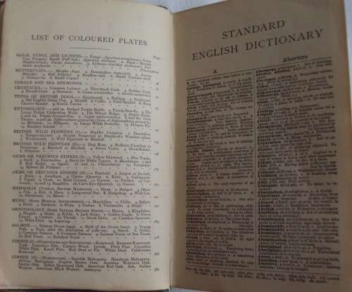 Blackie`s Standard Shilling Dictionary