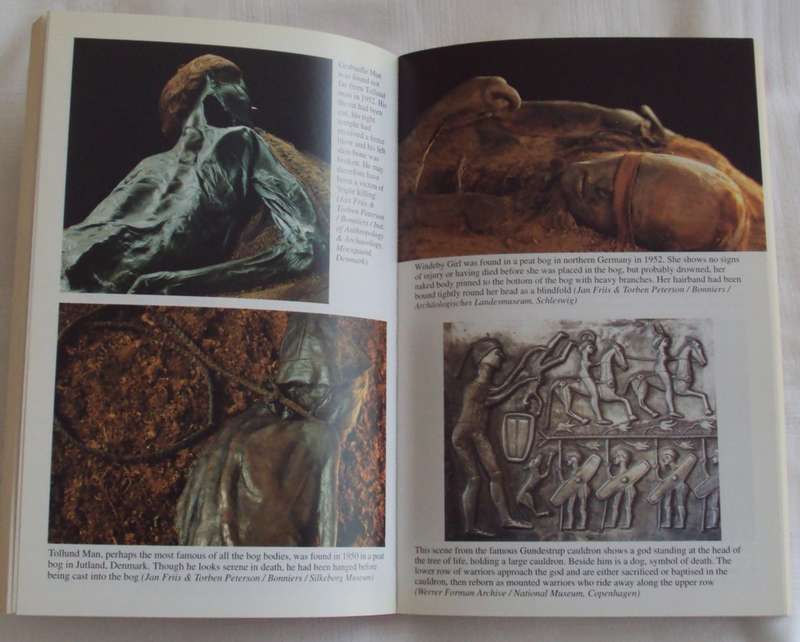 In Search Of The Immortals  Mummies, Death and the Afterlife Howard Reid