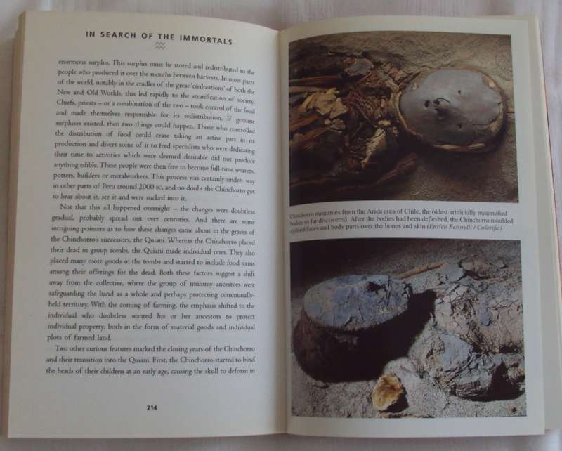 In Search Of The Immortals  Mummies, Death and the Afterlife Howard Reid