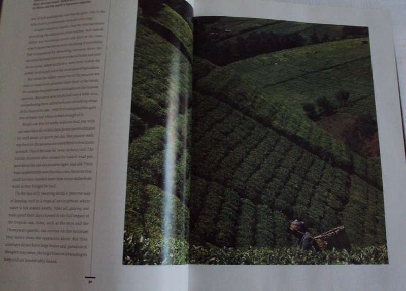 Africa National Geographic John Reader Photographs by Michael S Lewis