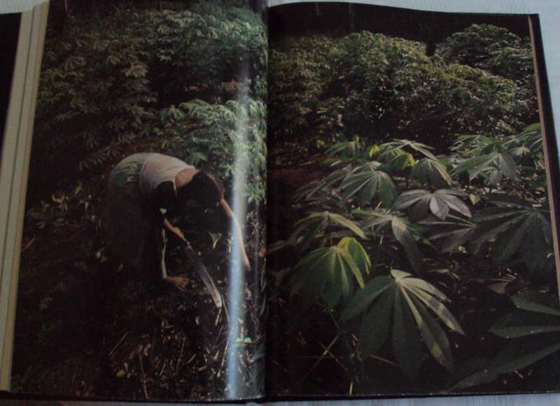 Africa National Geographic John Reader Photographs by Michael S Lewis