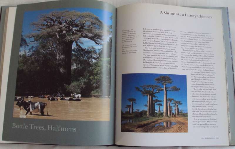 In Search of Remarkable Trees on Safari in Southern Africa Thomas Pakenham signed copy