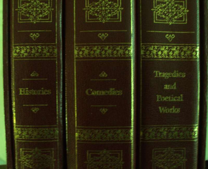 William Shakespeare Complete Works - Leather Bound 3 Volume Set with Slipcase