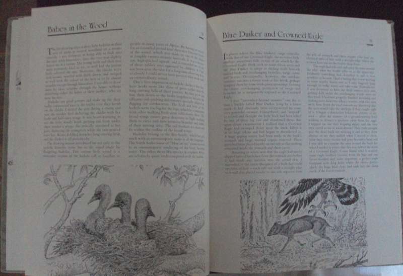 Jeff Huntlys African Wildlife Sketches  Deluxe Signed Leather Bound Limited Edition #M of A-Z