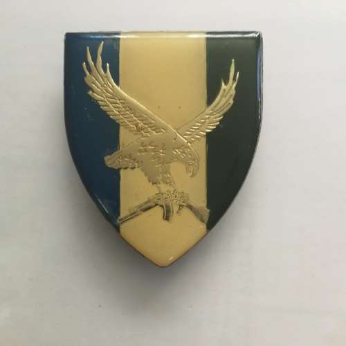 101 Romeo Mike Battalion Shoulder flash  - all pins intact