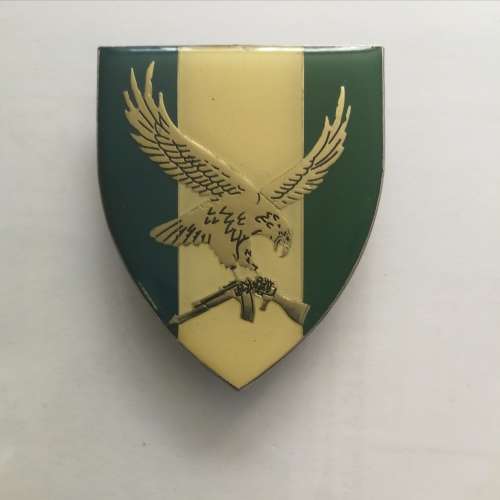 101 Romeo Mike Battalion Shoulder flash  - all pins intact