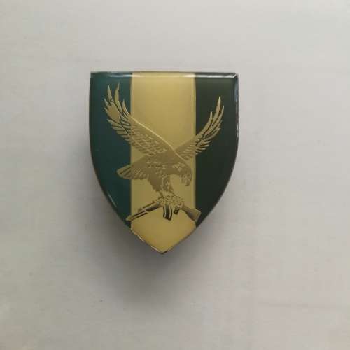 101 Romeo Mike Battalion Pocket  flash  - all pins intact