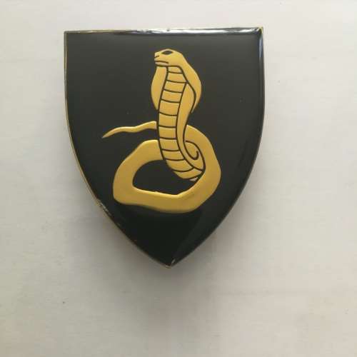 Cape Flats Comdo  - Shoulder flash - original - all pins intact