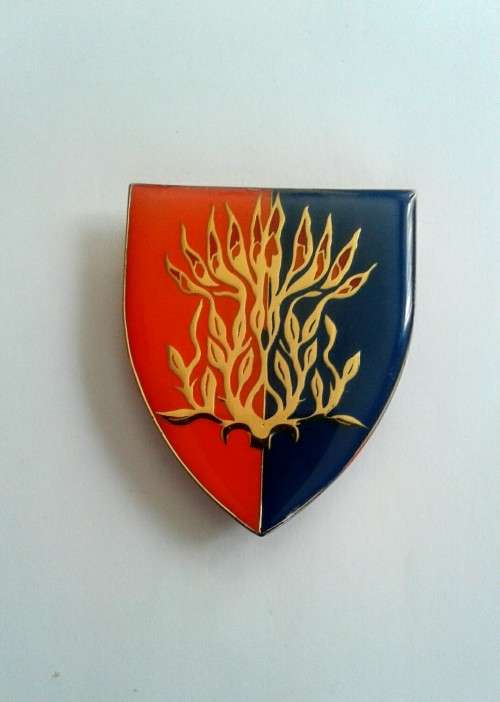 82 Mechanised Brigade -  original - all pins intact
