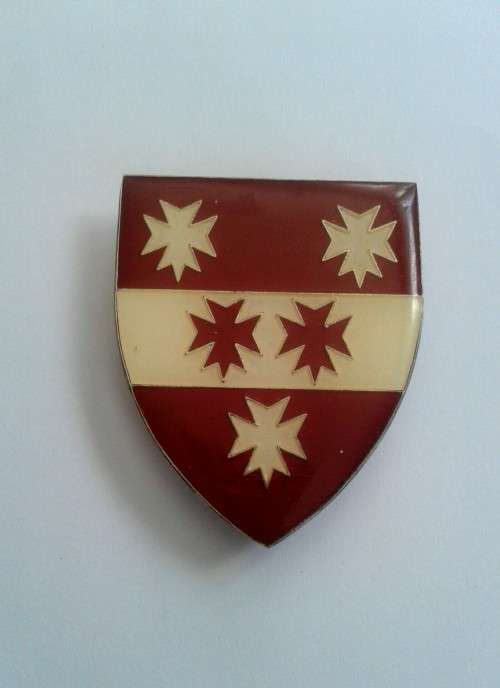 5  Medical Group Battalion - original - all pins intact