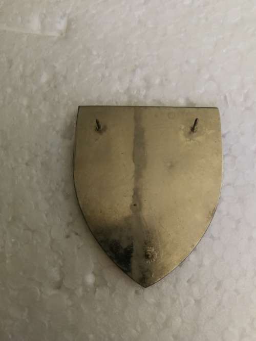 5  Medical Group Battalion - original - all pins intact