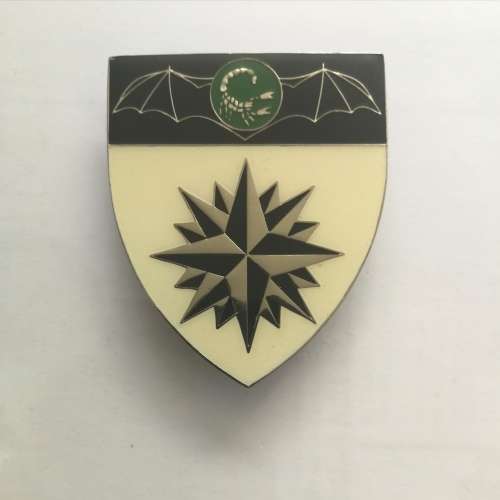 2 Special Forces Regt.  Shoulder flash - all pins intact