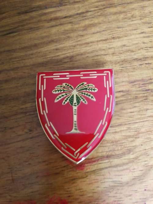 SA Army - 10 GSB Nelspruit Shoulder Flash   - all pins intact