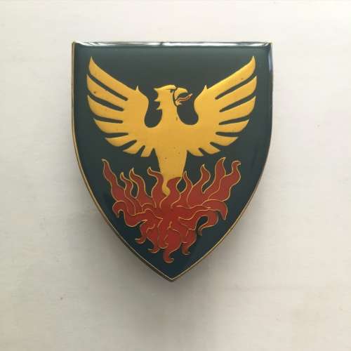 Ermelo  Comdo Shoulder Flash - all pins intact