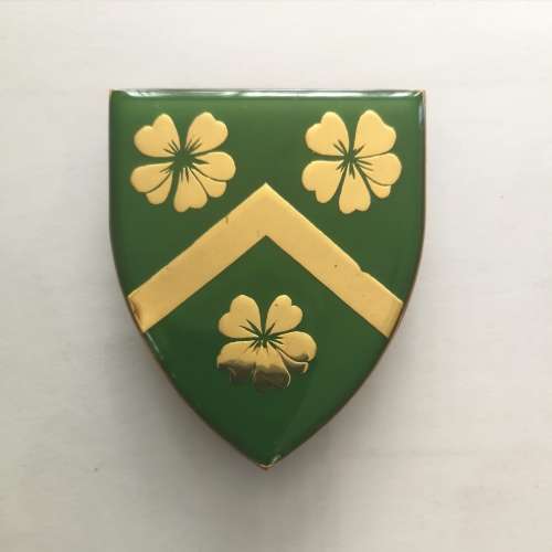 Edenvale Regiment Shoulder Flash - all pins intact