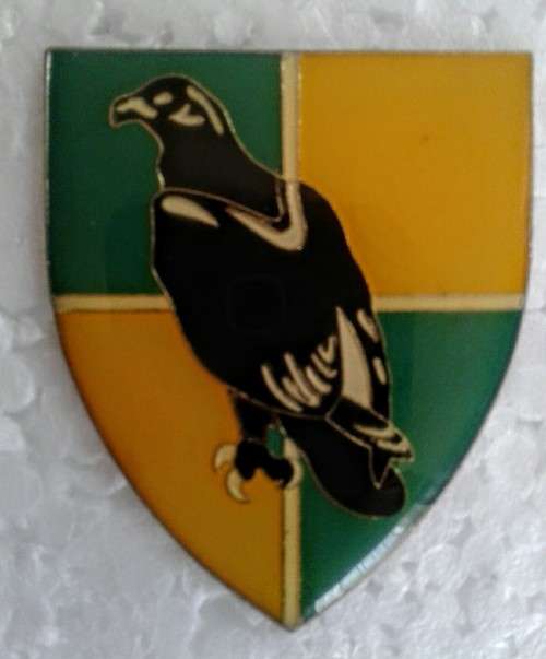 SA Army - Group 36 HQ   Shoulder Flash - ( all pins intact)
