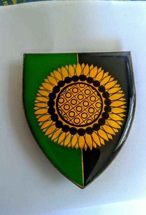 SA Army -  Regiment Botha  Shoulder Flash - ( all pins intact)