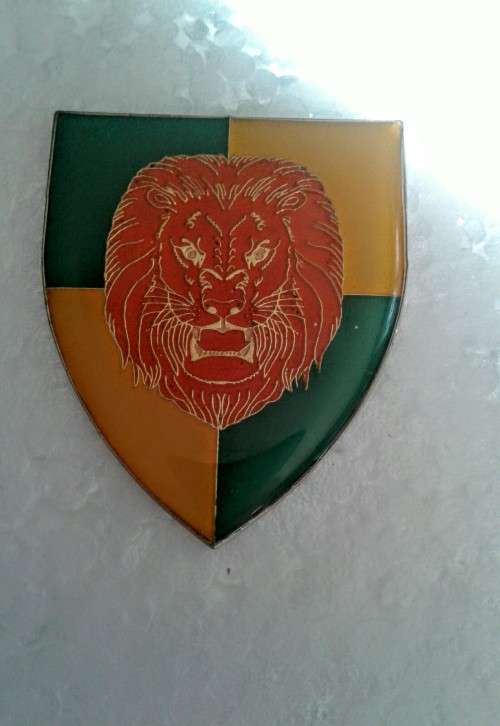 SA Army - Group 20 HQ  Shoulder Flash - (all pins intact)