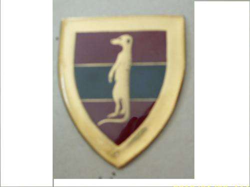 6 Engineer Regt Shoulder Flash (metal - original)