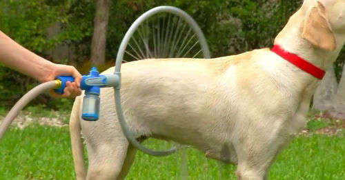 Pet bath ring
