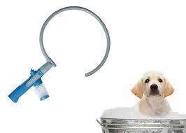 Pet bath ring