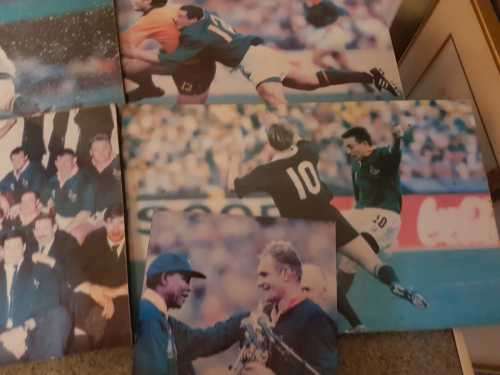 1995 World cup champions.Pick up only