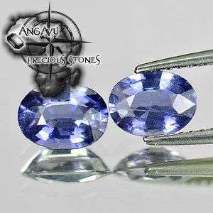 1.40 ct Iolite Pair