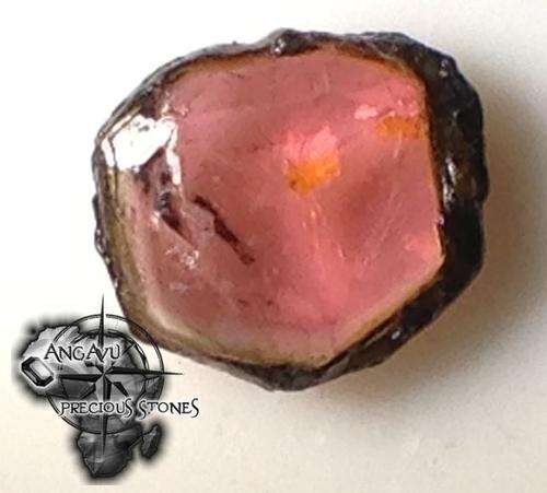 2.75 Ct Rough Watermelon Tourmaline, Erongo