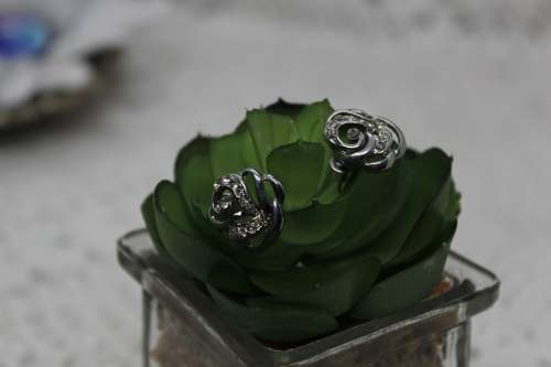 NEW : Lot of 2 Jewellery pieces