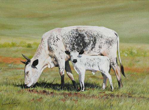 GRAHAM KEARNEY *****ORIGINAL NGUNI OIL PAINTING*****