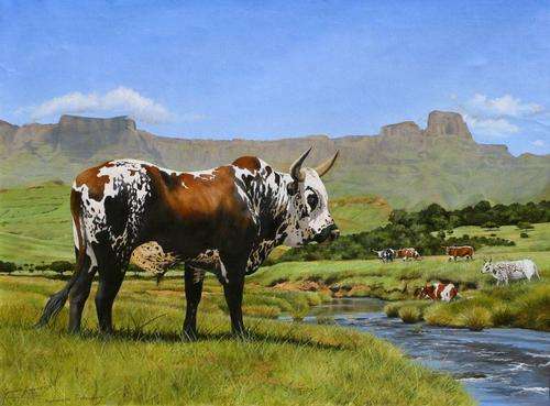 *****Nguni Bull Painting Drakensburg*****GRAHAM KEARNEY ORIGINAL******
