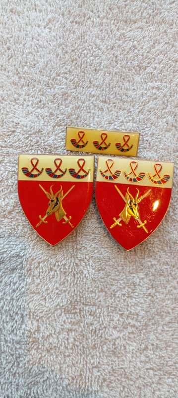 SA ARMY OFS. COMMAND SHOULDER  -AND BERET FLASHES..