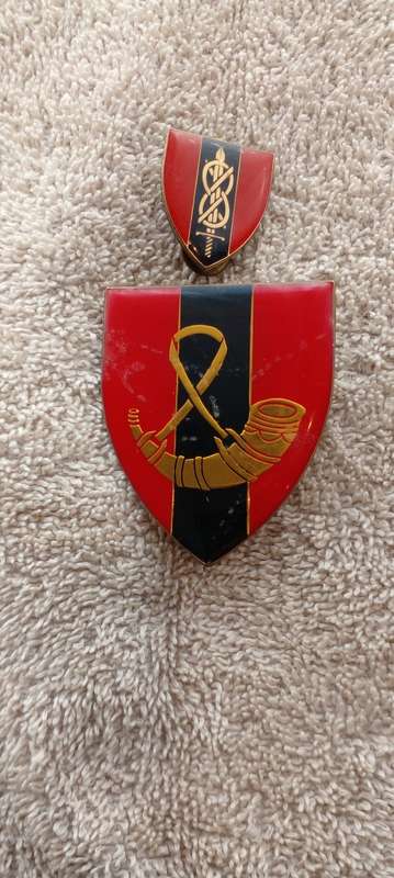 SA ARMY PROVOST COMMAND OFS. SHOULDER FLASHES. MP.TRAINING SCHOOL.
