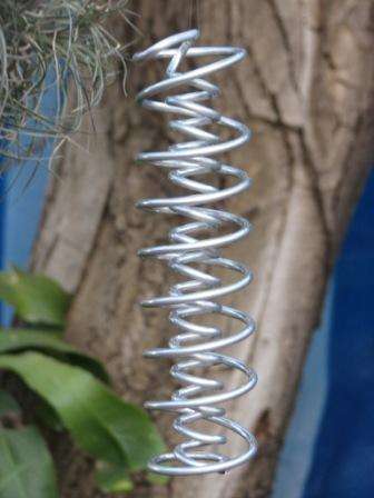 DNA Spiral