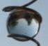 Illusion Spirals, Feng Shui Spirals, Solid glass balls available in Amber, Clear, Royal Blue, Turquoise Blue, Green and Red