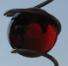 Illusion Spirals, Feng Shui Spirals, Solid glass balls available in Amber, Clear, Royal Blue, Turquoise Blue, Green and Red