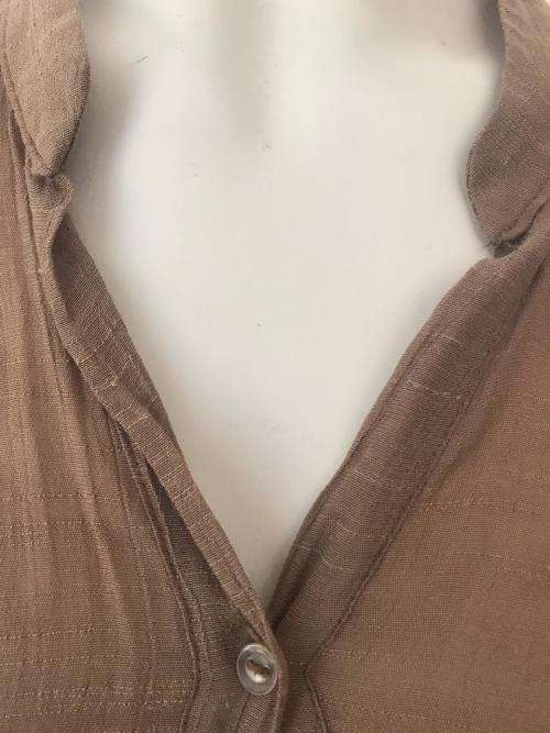 Light brown sheer button up top SIZE 10