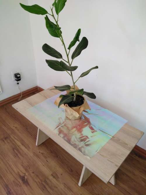 Wooden coffee table and side stand
