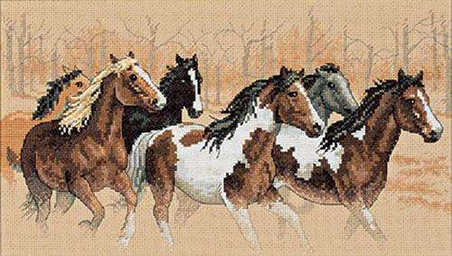 Dimensions cross stitch kit- Wild Rush
