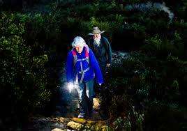 LED Camping light
