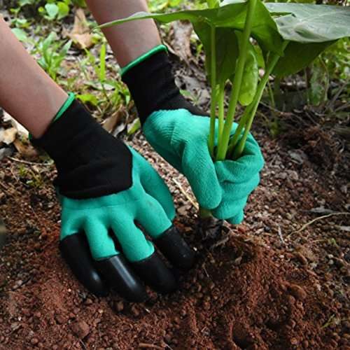 Garden Gloves(BLACK COLOR ONLY)