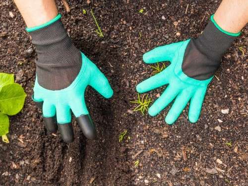 Garden Gloves(BLACK COLOR ONLY)