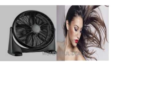 20'' Rotary Fan
