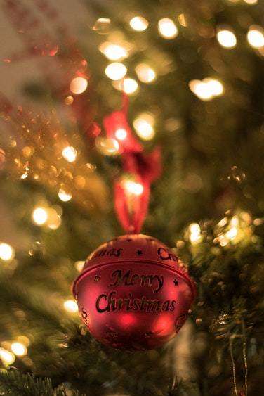 Black Friday Deals 2.1M PINE CHRISTMAS TREE
