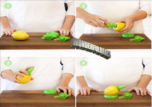 CITRUS SPRAYER