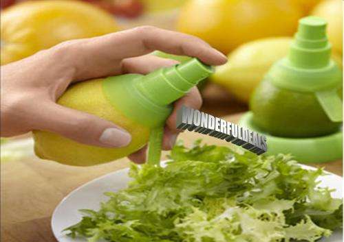 CITRUS SPRAYER