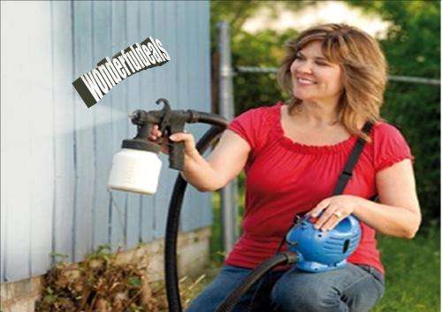 PAINT ZOOM PROFESSIONAL SPRAY SYSTEM